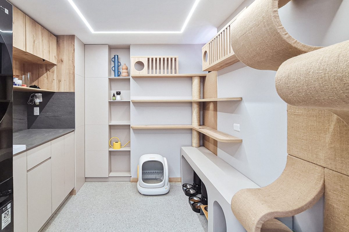 apto-802-medellin-zona-ropas-2-despues